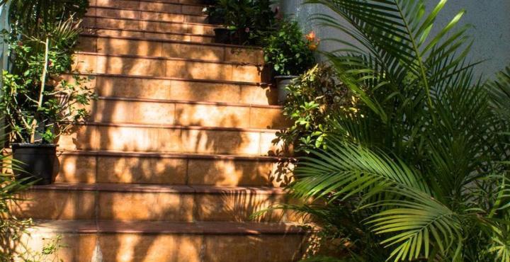 Hotel Phoenix Koregaon Park Pune Exterior foto